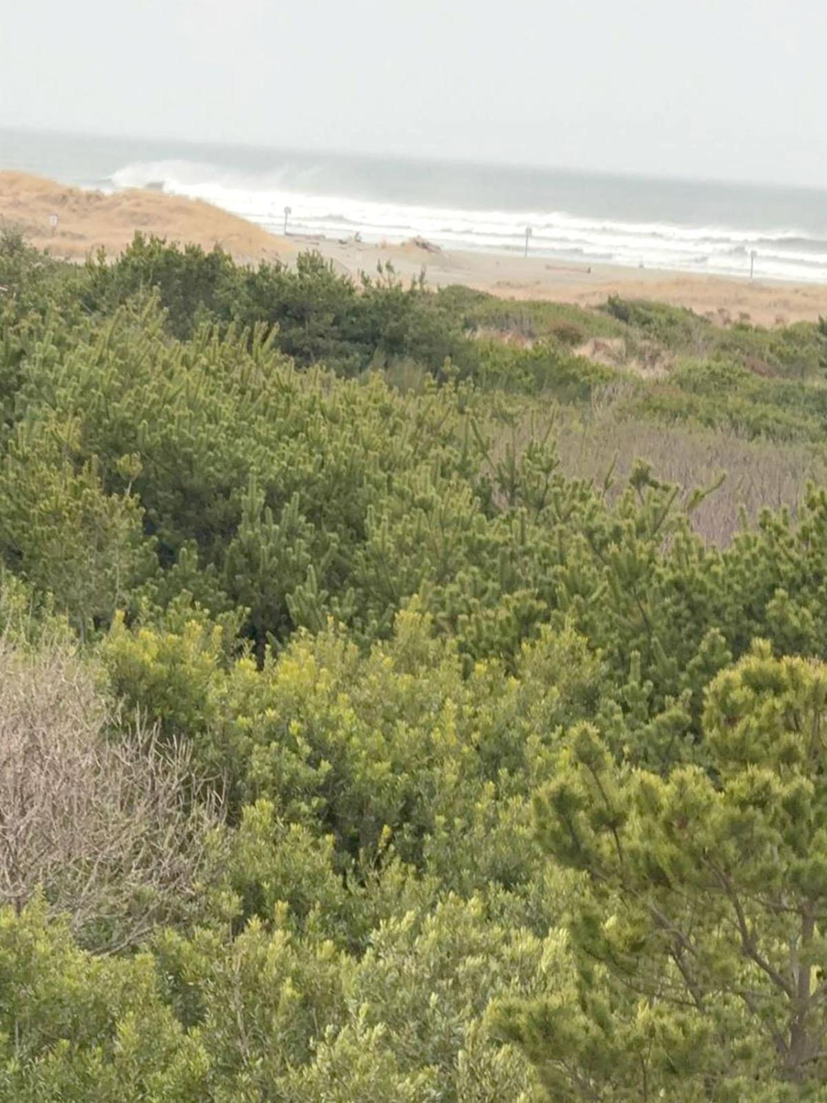 Coratel And By Jasper 2* Ocean Shores